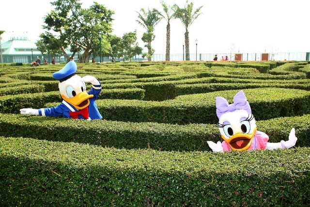 File:DonaldDuck.jpg