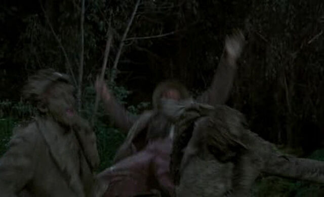 File:Petes-dragon-disneyscreencaps.com-553.jpg