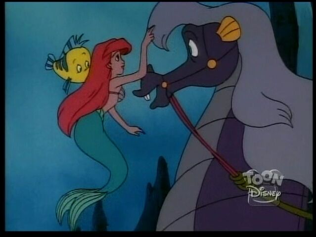 File:StormySeahorse103.jpg