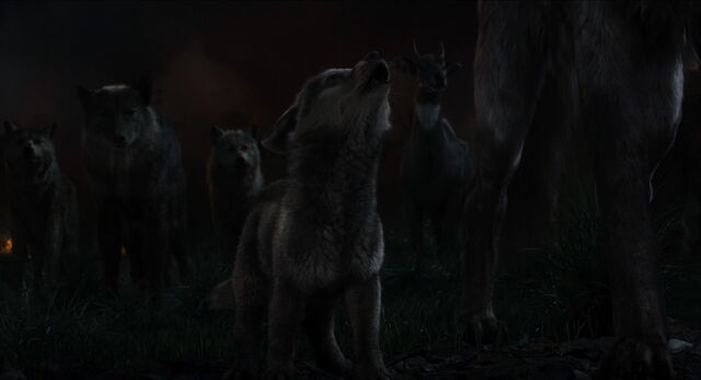 File:Jungle-book-2016-disneyscreencaps.com-11068.jpg