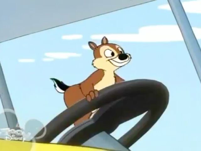 File:Chip steering wheel.jpg