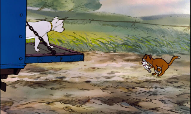 File:Aristocats-disneyscreencaps.com-3804.jpg