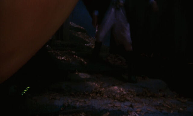 File:James-giant-peach-disneyscreencaps com-2094.jpg