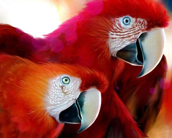 File:Red parrots wallpaper 50818.jpg