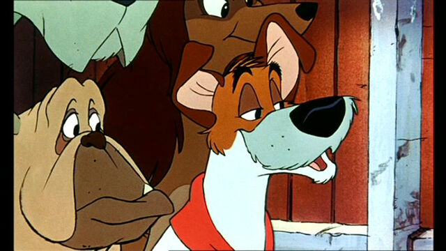 File:Oliver-Company-oliver-and-company-movie-5873235-768-432.jpg