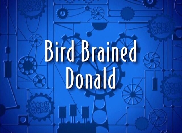 File:Bird brained donald 3large.jpg