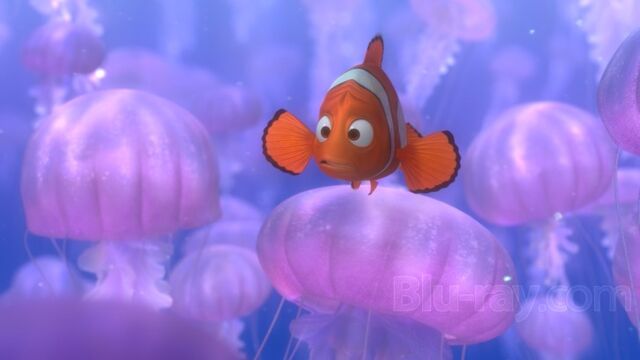 File:FindingNemo nemo-father.jpg