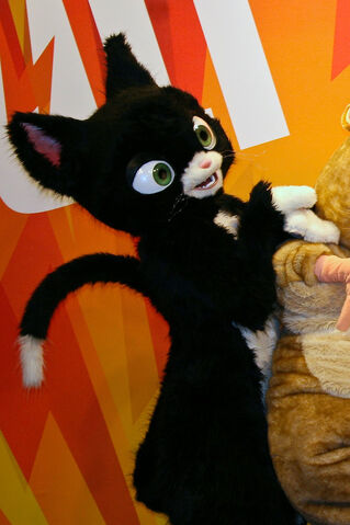 File:Mittens WDW.jpg