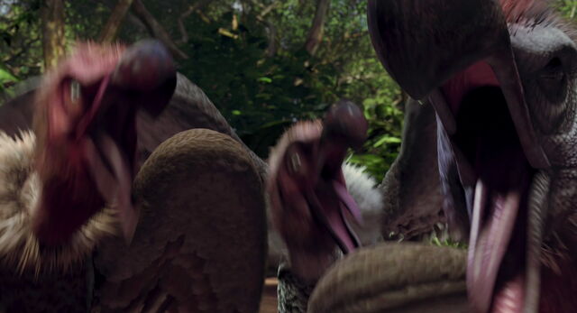 File:The-wild-disneyscreencaps com-6479.jpg