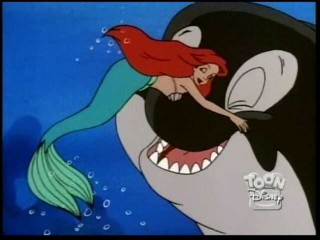 File:Savethewhale180.jpg