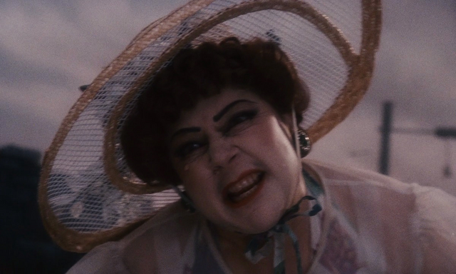 File:Aunt Sponge.png