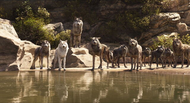 File:Jungle-book-2016-disneyscreencaps.com-1303.jpg