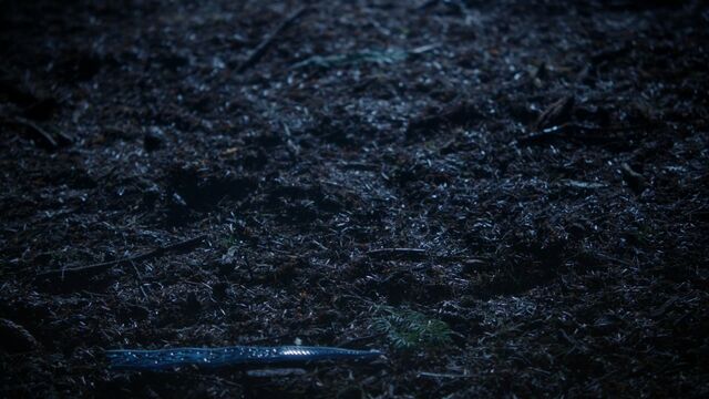 File:Excalibur Broken 01.jpg