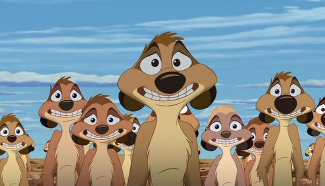 File:Meerkatdiggatunnah.jpg