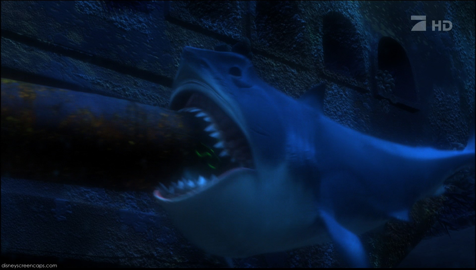 finding nemo fish scar