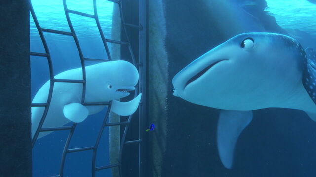 File:Finding-dory-disneyscreencaps.com-3761.jpg