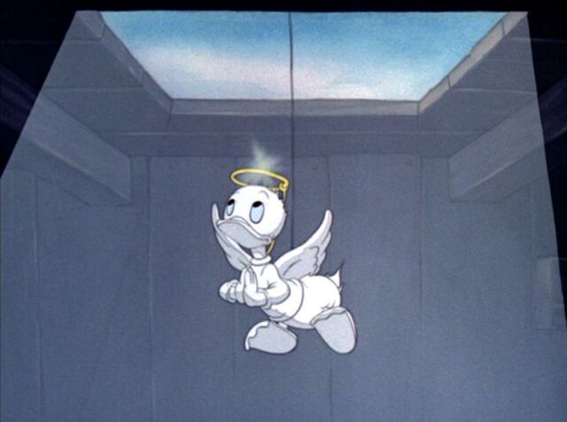 File:Tumblr nfue6w3bbD1qhcrb0o1 1280.jpg