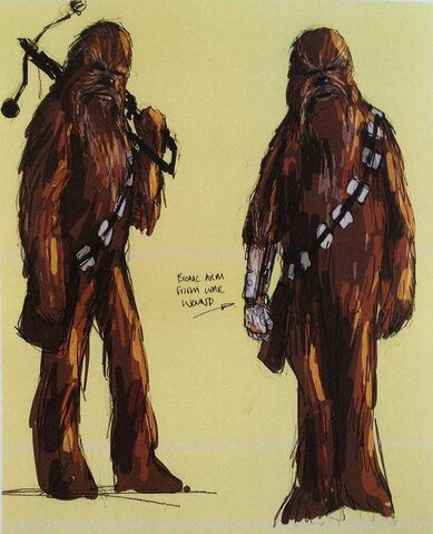 File:ChewbaccaCostume.jpeg