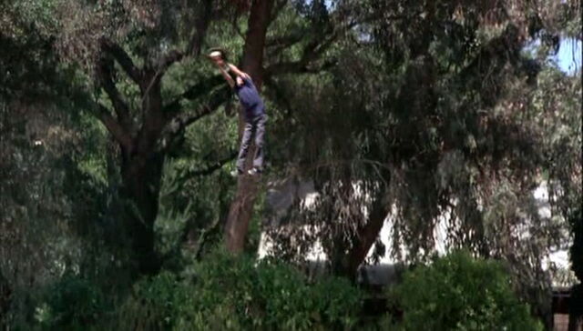 File:Escape-to-witch-mountain-disneyscreencaps.com-436.jpg