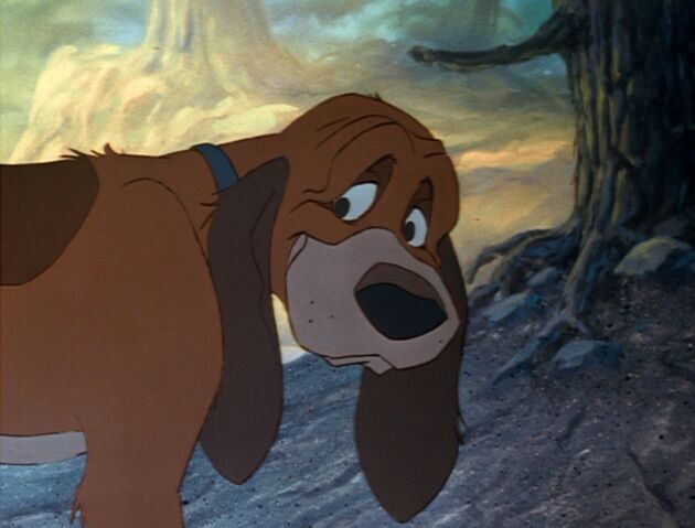 File:Copper as an Adult.jpg