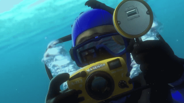 File:A113 Finding Nemo.png