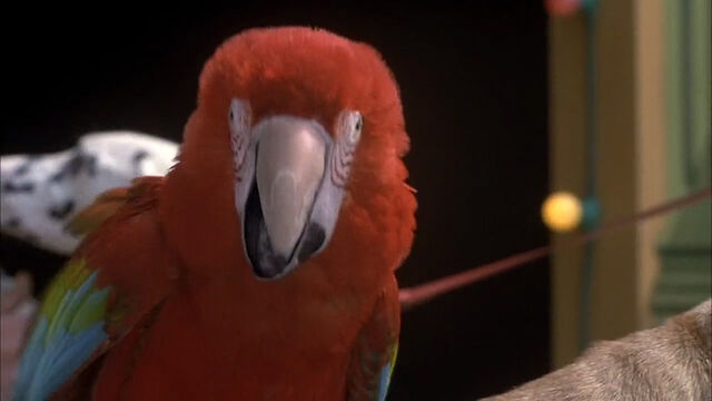 File:102-dalmatians-disneyscreencaps com-3940.jpg