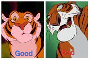 Bad and good tigers