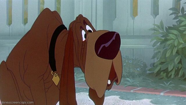 File:Tramp-disneyscreencaps com-2313.jpg