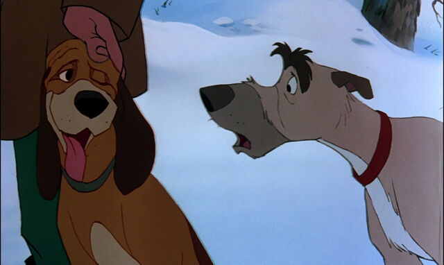 File:Fox-and-the-hound-disneyscreencaps.com-4085.jpg