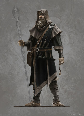 File:Wizard-skyrim.jpeg