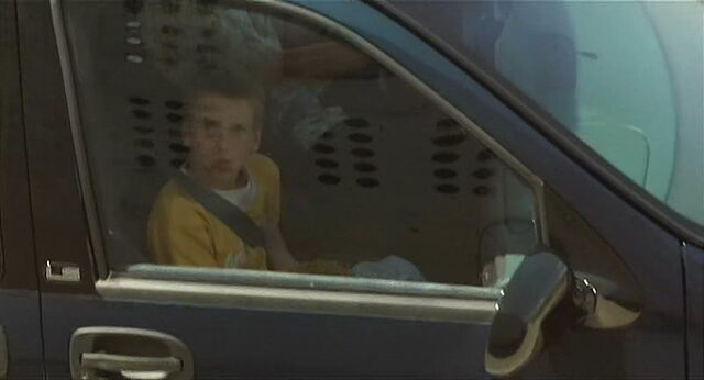 File:Mighty-joe-young-disneyscreencaps.com-4853.jpg
