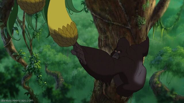 File:Tarzan-disneyscreencaps.com-2490.jpg