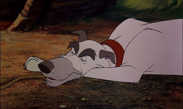 File:Fox-and-the-hound-disneyscreencaps.com-2086.jpg