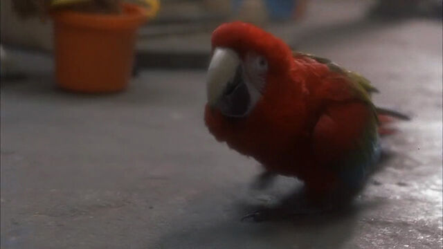 File:102-dalmatians-disneyscreencaps com-1071.jpg
