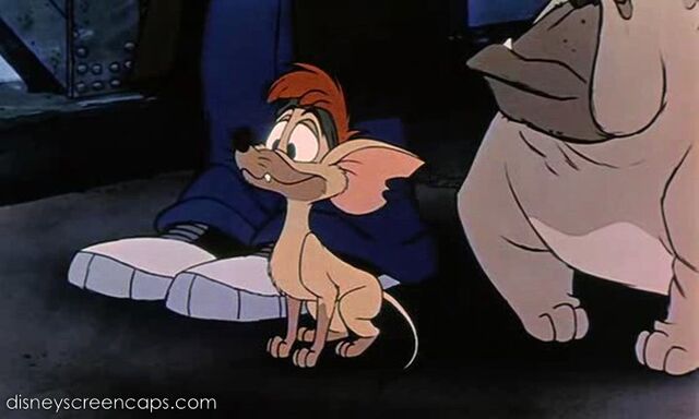 File:Oliver-disneyscreencaps.com-7384.jpg