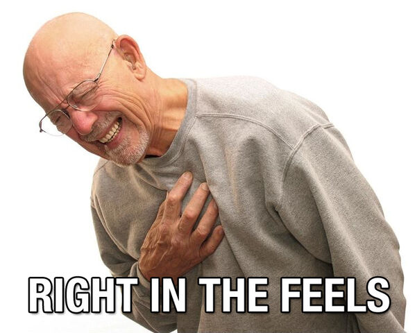 File:44383-Right-in-the-feels-TJAE.jpeg
