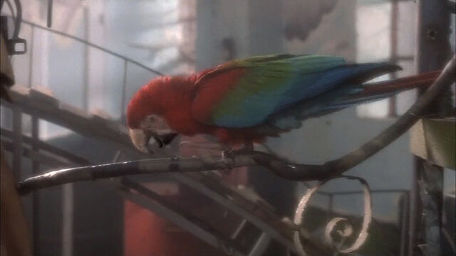 File:102-dalmatians-disneyscreencaps com-773.jpg