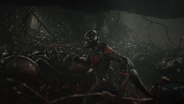 File:Ant-Man (film) 86.jpg