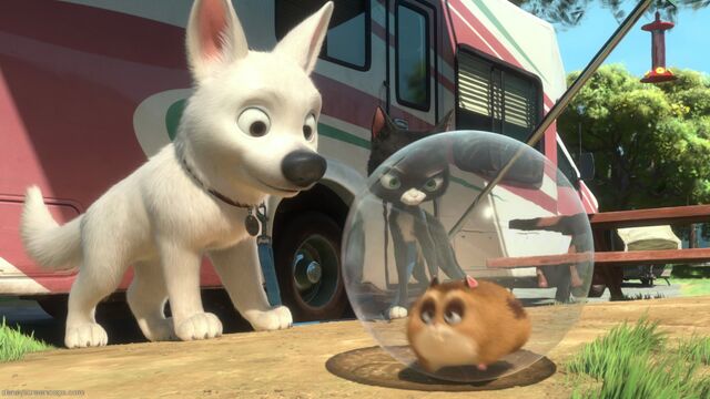 File:Bolt-disneyscreencaps.com-5382.jpg