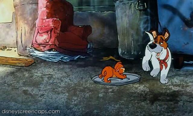 File:Oliver-disneyscreencaps.com-735.jpg