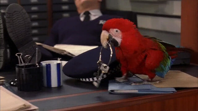 File:102-dalmatians-disneyscreencaps com-7521.jpg