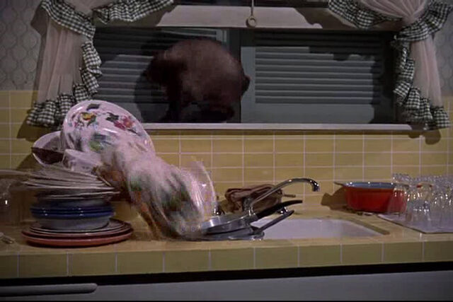File:That-darn-cat-disneyscreencaps.com-193.jpg