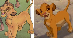 Simba-Kopa.png