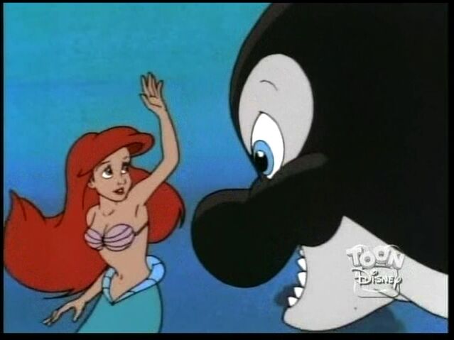 File:Savethewhale40.jpg
