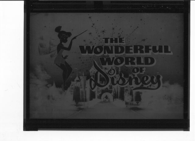 File:WWOD Negative Still Photo.jpg