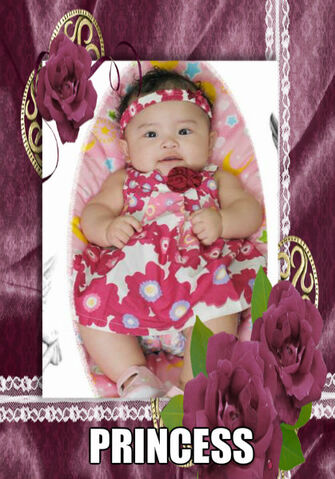 File:Pizap.com10.36680618813261391378030973695.jpg