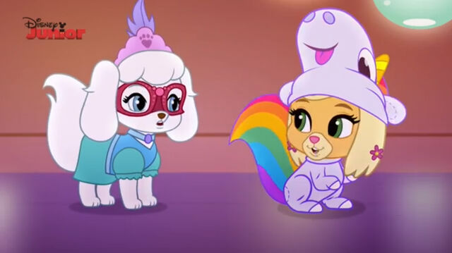 File:Pumpkin and daisy.jpg