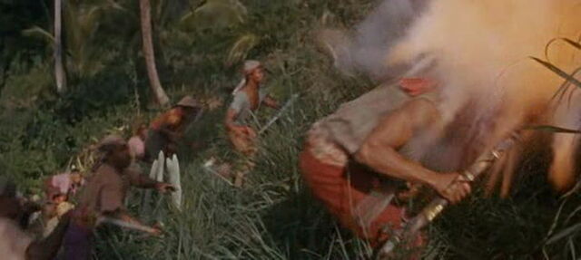 File:Swiss-family-robinson-disneyscreencaps.com-13687.jpg
