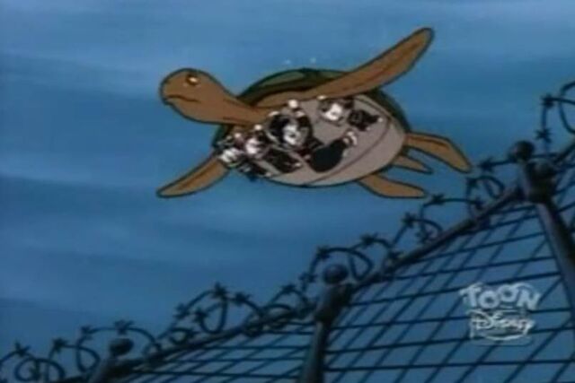 File:TurtleTrick.jpg