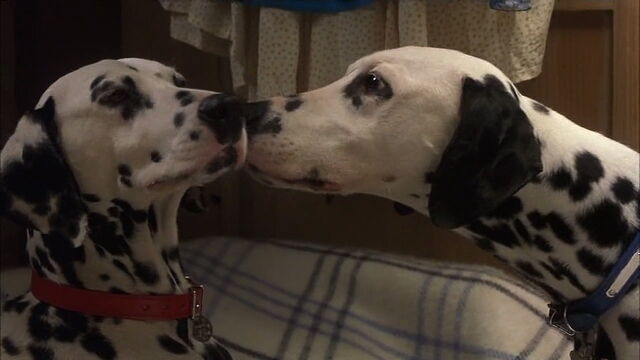 File:102-dalmatians-disneyscreencaps.com-1189.jpg